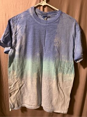 PAWZ Women’s Ombre Crewneck T-Shirt in Blue, Mint, and Cream